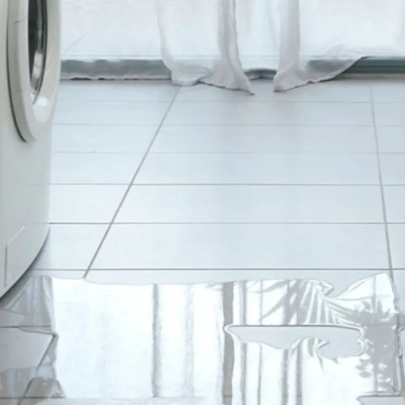 Appliance Leak Cleanup in Plaquemine, LA